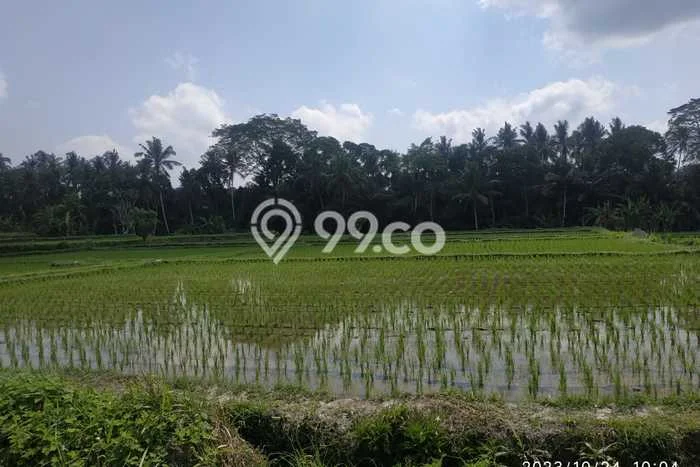 Tanah Dijual Area Strategis di Petulu Gianyar 1000m2 Tanah Dijual Area Strategis di Petulu Gianyar 1000m2