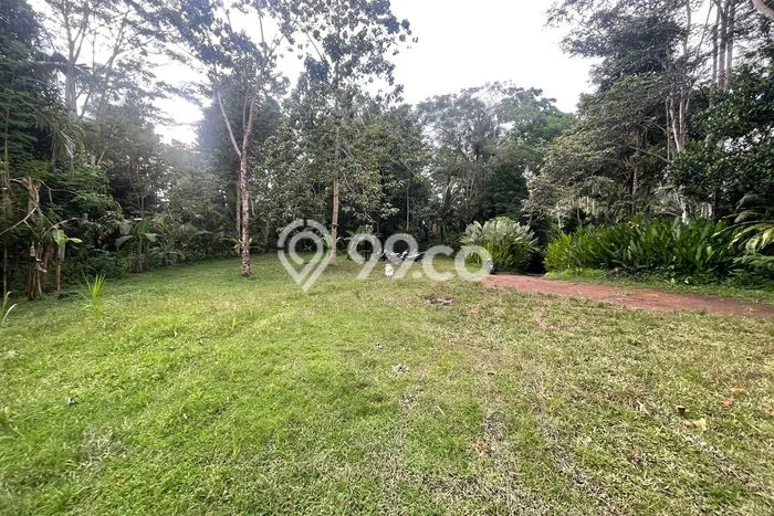 Dijual Tanah di Gianyar, Luas 9330m2 SHM Dijual Tanah di Gianyar, Luas 9330m2 SHM