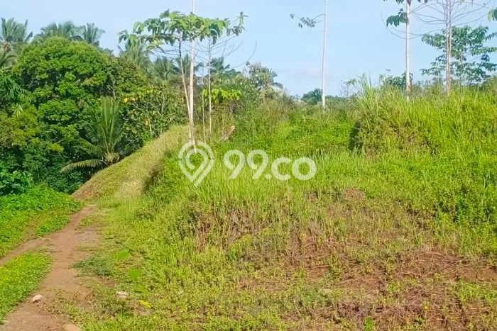 Tanah Dijual di Tabanan Seluas 25000m2 Strategis Tanah Dijual di Tabanan Seluas 25000m2 Strategis