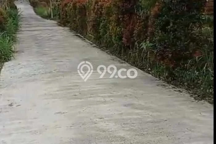 Tanah Dijual di Buleleng Seluas 5000m2 Strategis Tanah Dijual di Buleleng Seluas 5000m2 Strategis