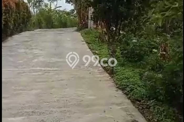 Tanah Dijual di Buleleng Seluas 5000m2 Strategis Tanah Dijual di Buleleng Seluas 5000m2 Strategis
