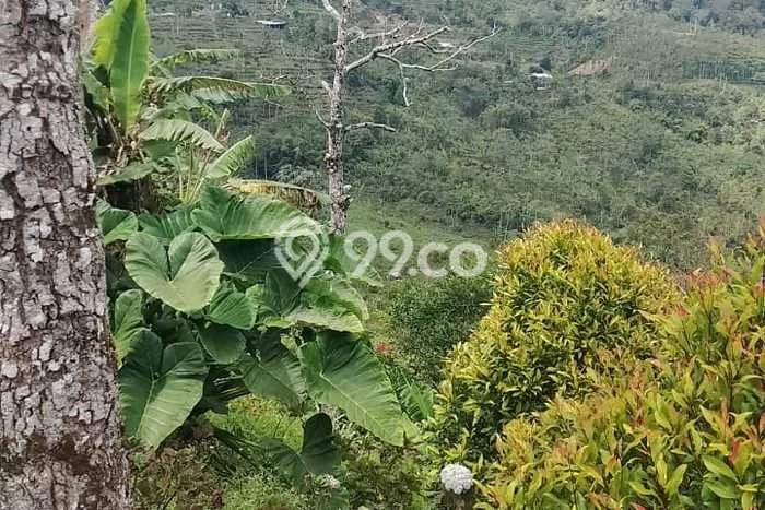 Tanah Dijual di Buleleng Seluas 5000m2 Strategis Tanah Dijual di Buleleng Seluas 5000m2 Strategis