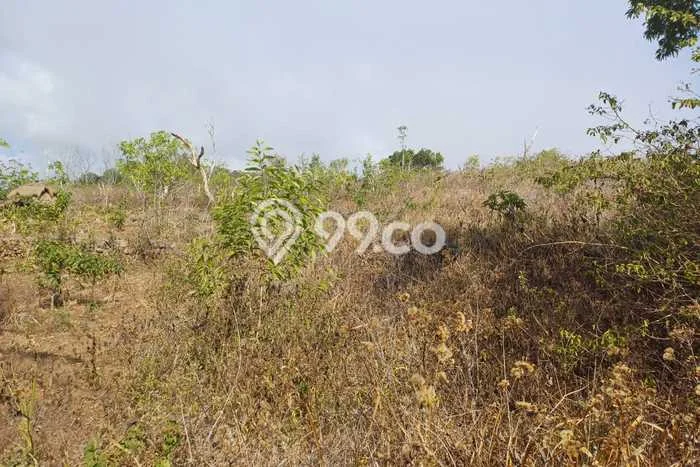 Tanah Dijual Area Strategis di Nusa Penida Klungkung 20000m2 Tanah Dijual Area Strategis di Nusa Penida Klungkung 20000m2