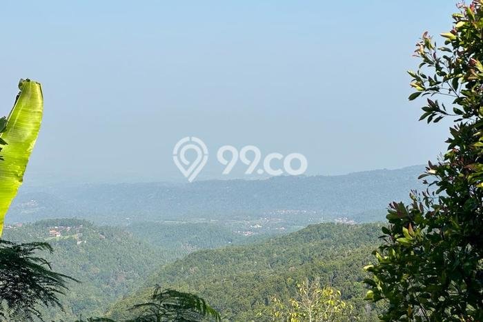 Tanah Dijual Lokasi Banjar Buleleng SHM Tanah Dijual Lokasi Banjar Buleleng SHM