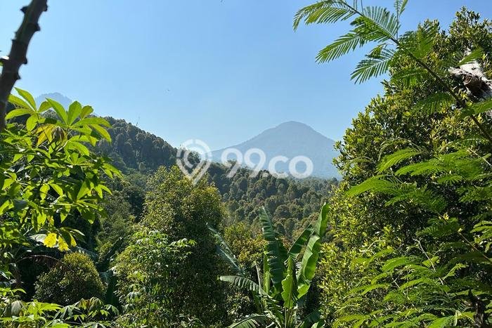 Tanah Dijual Lokasi Banjar Buleleng SHM Tanah Dijual Lokasi Banjar Buleleng SHM