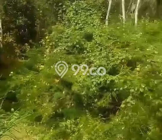 Dijual Tanah 14250m2 di Sebatu, Gianyar Dijual Tanah 14250m2 di Sebatu, Gianyar