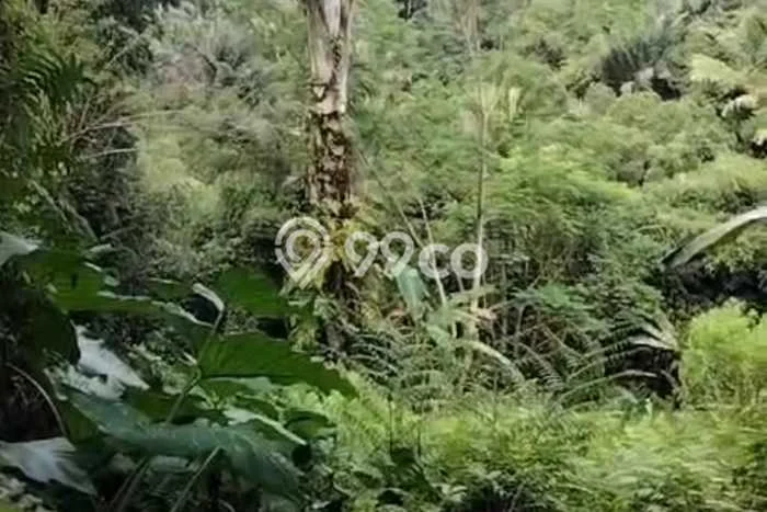 Kavling Tanah untuk Dijual di Sebatu, Gianyar, Luas 4700m2 Kavling Tanah untuk Dijual di Sebatu, Gianyar, Luas 4700m2