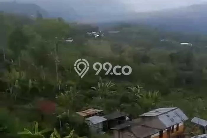 Dijual Tanah Lokasi Kedisan, Bangli Seluas 10000m2 Dijual Tanah Lokasi Kedisan, Bangli Seluas 10000m2