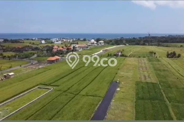 Tanah Dijual Area Strategis di Cemagi Badung 3000m2 Tanah Dijual Area Strategis di Cemagi Badung 3000m2