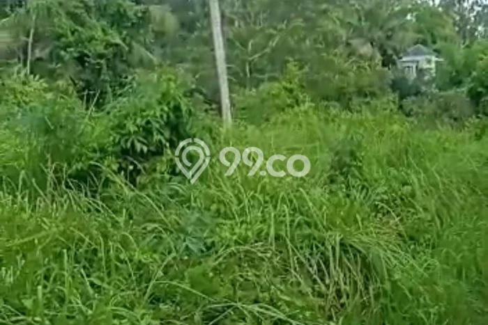 Tanah Dijual Lokasi Strategis di Badung dengan Luas 1260m2 Tanah Dijual Lokasi Strategis di Badung dengan Luas 1260m2