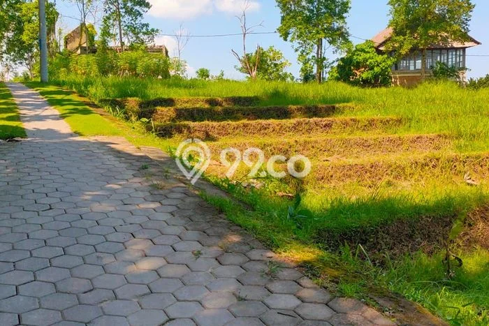 Tanah Kavling Dijual di Lalanglinggah, Tabanan dengan Luas Tanah 9000m2 Tanah Kavling Dijual di Lalanglinggah, Tabanan dengan Luas Tanah 9000m2