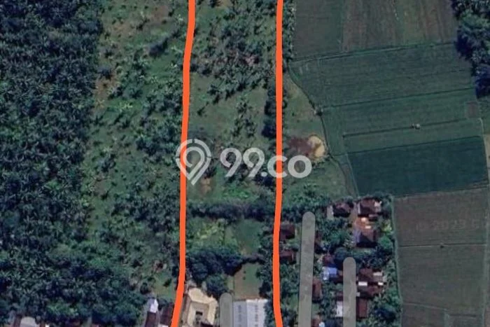 Tanah Dijual Area Strategis di Kaliakah Jembrana 20000m2 Tanah Dijual Area Strategis di Kaliakah Jembrana 20000m2