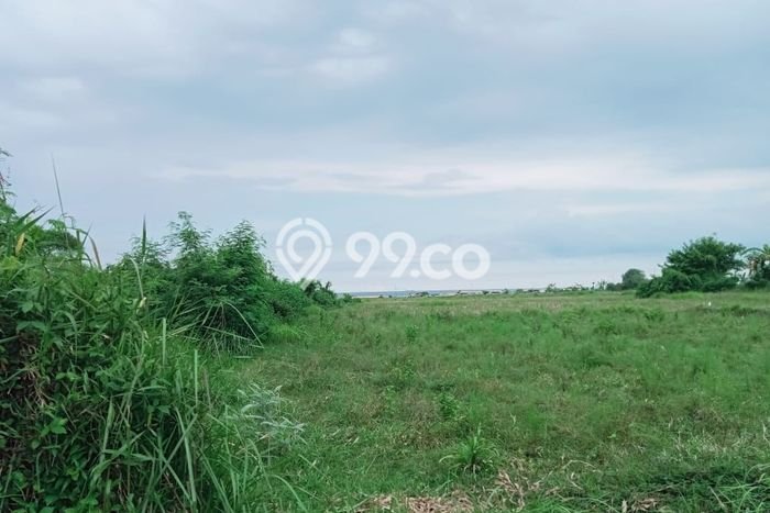 Untuk Dijual Tanah di Gianyar, Luas 3800m2 - Untuk Dijual Tanah di Gianyar, Luas 3800m2 -