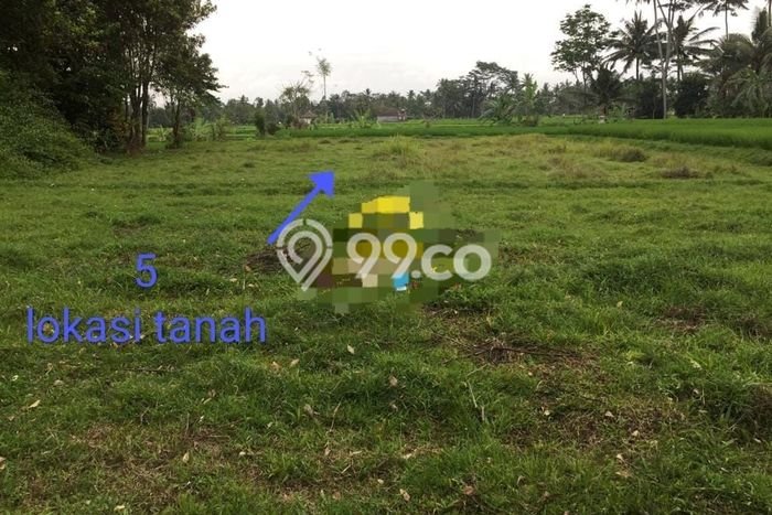 Tanah Siap Bangun Dijual di Gianyar Punya Luas 1486m2 Tanah Siap Bangun Dijual di Gianyar Punya Luas 1486m2