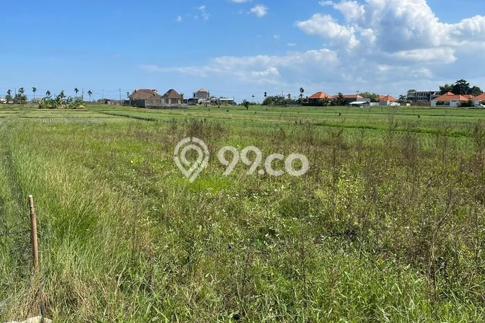Tanah Siap Bangun Dijual di Badung Punya Luas 675m2 Tanah Siap Bangun Dijual di Badung Punya Luas 675m2