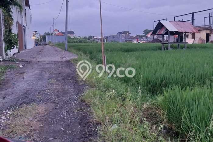 Disewakan Tanah di Kerobokan Badung Seluas 2100m2 Disewakan Tanah di Kerobokan Badung Seluas 2100m2