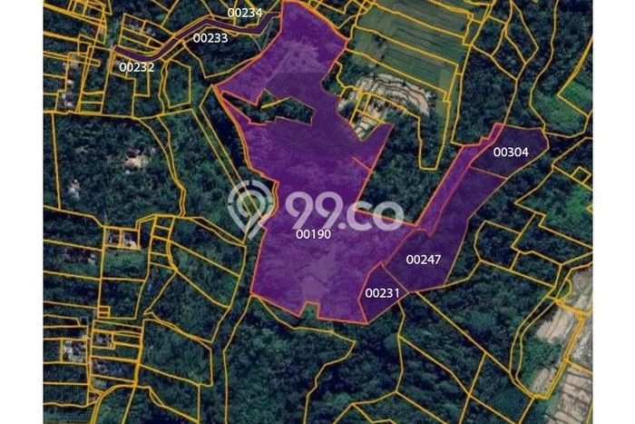Tanah Dijual Lokasi Payangan Gianyar - Tanah Dijual Lokasi Payangan Gianyar -
