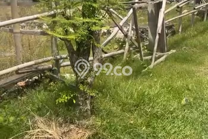 Tanah Kavling Disewakan di Renon dengan Luas 500m2 Tanah Kavling Disewakan di Renon dengan Luas 500m2