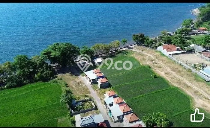 Tanah Kavling Dijual di Buleleng dengan Spesifikasi 4500m2 Tanah Kavling Dijual di Buleleng dengan Spesifikasi 4500m2
