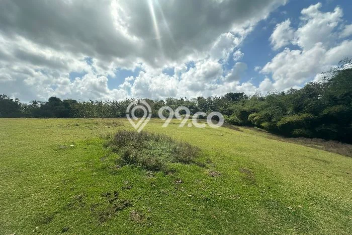 Dijual Tanah Lokasi Tangguntiti, Tabanan Seluas 31000m2 Dijual Tanah Lokasi Tangguntiti, Tabanan Seluas 31000m2