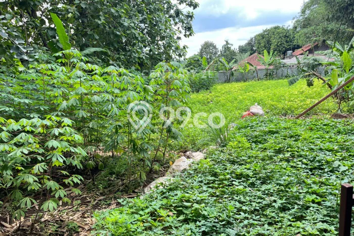 Lahan Kosong Dijual di Bogor dengan Area 645m2 Lahan Kosong Dijual di Bogor dengan Area 645m2