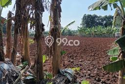 Tanah Dijual Lokasi Citeureup, Bogor Luas 7000m2 Legalitas Aman Tanah Dijual Lokasi Citeureup, Bogor Luas 7000m2 Legalitas Aman