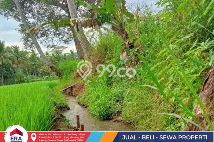 Tanah Kavling untuk Dijual di Lebakwangi Kuningan 17800m2 Tanah Kavling untuk Dijual di Lebakwangi Kuningan 17800m2