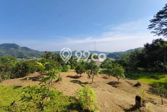 Tanah untuk Dijual Lokasi Leuwiliang, Bogor Luas 50000m2 SHM Tanah untuk Dijual Lokasi Leuwiliang, Bogor Luas 50000m2 SHM