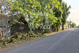 Tanah Investasi Dijual di Badung Punya Luas 300m2 Tanah Investasi Dijual di Badung Punya Luas 300m2