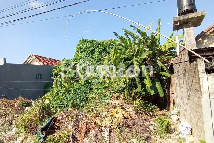 Jarang Ada! Tanah Kavling Disewakan di Denpasar 346m2 Jarang Ada! Tanah Kavling Disewakan di Denpasar 346m2