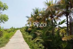 Lahan untuk Dijual Lokasi Selemadeg, Tabanan Luas 8650m2 SHM Lahan untuk Dijual Lokasi Selemadeg, Tabanan Luas 8650m2 SHM