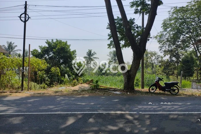 Kavling Tanah Dijual di Wonosari Malang Spesifikasi 6394m2 Kavling Tanah Dijual di Wonosari Malang Spesifikasi 6394m2