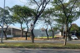 Tanah di Citraland, Luas 1250m², Area Premium, Disewakan Tanah di Citraland, Luas 1250m², Area Premium, Disewakan