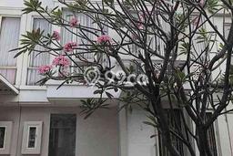 GOOD DEAL! Rumah area Pakuwon, 2 KT, Siap Huni, LT 72m2m² LB 70m2m² GOOD DEAL! Rumah area Pakuwon, 2 KT, Siap Huni, LT 72m2m² LB 70m2m²