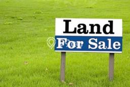 Tanah Dijual Area Strategis di Citraland Surabaya 1053m2 Tanah Dijual Area Strategis di Citraland Surabaya 1053m2