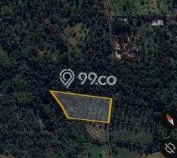 Tanah untuk Dijual di Selemadeg Tabanan Luas 2990m2 Tanah untuk Dijual di Selemadeg Tabanan Luas 2990m2