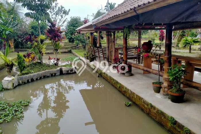 LOKASI STRATEGIS! Tanah di Jatiluwih, Luas 5000m², Lingkungan Nyaman, Cocok untuk Investasi LOKASI STRATEGIS! Tanah di Jatiluwih, Luas 5000m², Lingkungan Nyaman, Cocok untuk Investasi