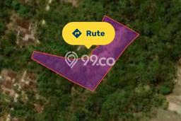 Tanah Dijual Lokasi Penebel, Tabanan Luas 7200m2 Legalitas Aman Tanah Dijual Lokasi Penebel, Tabanan Luas 7200m2 Legalitas Aman