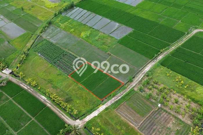 POTENSIAL! Tanah Kawasan Kelating, Luas 700m², Lokasi Strategis POTENSIAL! Tanah Kawasan Kelating, Luas 700m², Lokasi Strategis