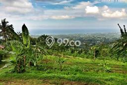 Tanah Kavling untuk Dijual di Buleleng Buleleng 9800m2 Tanah Kavling untuk Dijual di Buleleng Buleleng 9800m2