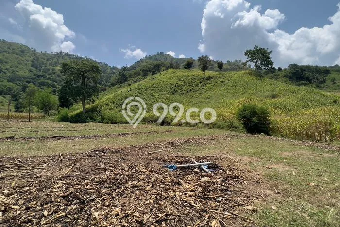 Tanah Area Berkembang Kawasan Selong Belanak, Luas 5936m², Akses ke Fasilitas Umum, Dekat Selong Belanak, Lombok Barat, Lombok Barat Tanah Area Berkembang Kawasan Selong Belanak, Luas 5936m², Akses ke Fasilitas Umum, Dekat Selong Belanak, Lombok Barat, Lombok Barat
