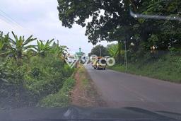 Lahan Strategis di Mande Dijual dengan Luas 8084m2 Lahan Strategis di Mande Dijual dengan Luas 8084m2