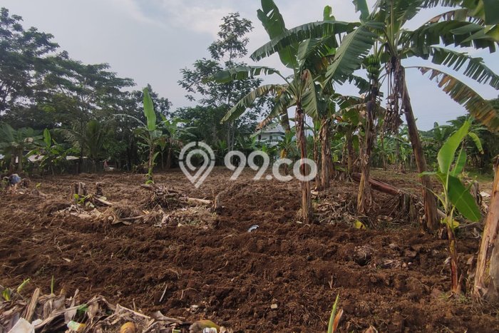 Untuk Dijual Tanah di Bogor Timur Bogor Luas 1149m2 SHM Untuk Dijual Tanah di Bogor Timur Bogor Luas 1149m2 SHM