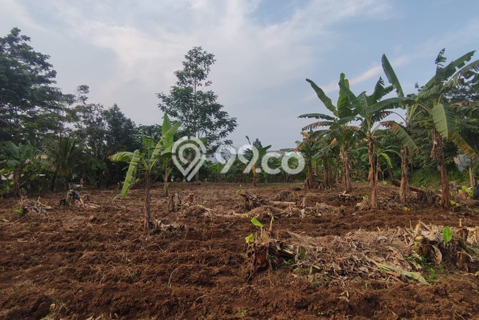 Untuk Dijual Tanah di Bogor Timur Bogor Luas 1149m2 SHM Untuk Dijual Tanah di Bogor Timur Bogor Luas 1149m2 SHM
