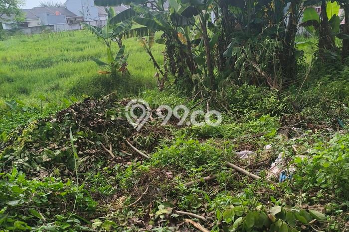 Jarang Ada! Tanah di Sepatan Punya Luas 6m2 SHM Jarang Ada! Tanah di Sepatan Punya Luas 6m2 SHM