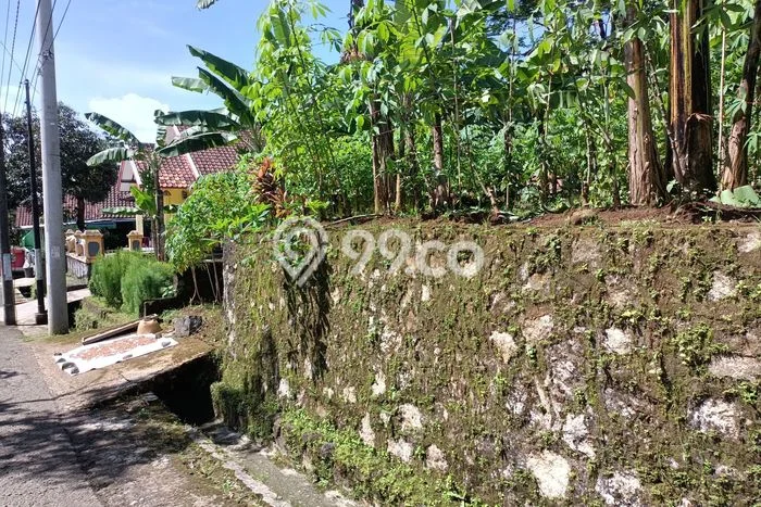 Lahan Investasi Lokasi Kuningan Kuningan SHM Lahan Investasi Lokasi Kuningan Kuningan SHM