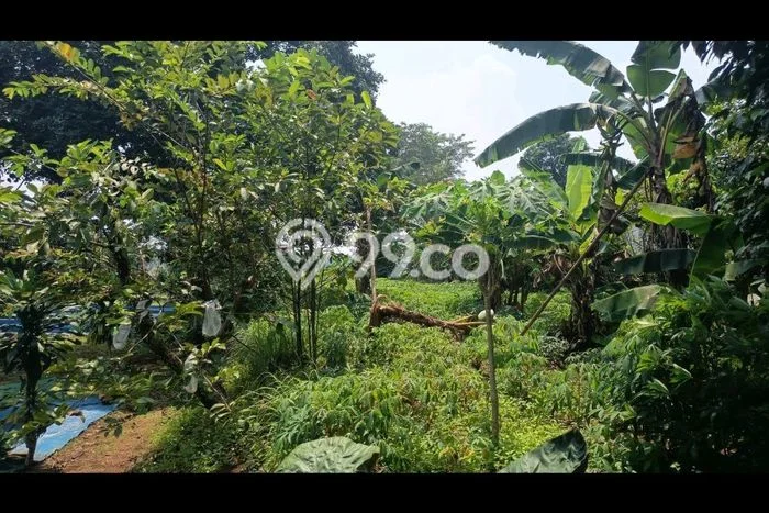 Dijual Tanah di Parung Bogor Luas 2260m2 AJB Dijual Tanah di Parung Bogor Luas 2260m2 AJB