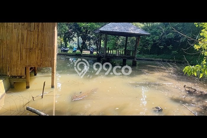 Tanah Kavling untuk Dijual di Cijeruk Bogor 1500m2 Tanah Kavling untuk Dijual di Cijeruk Bogor 1500m2