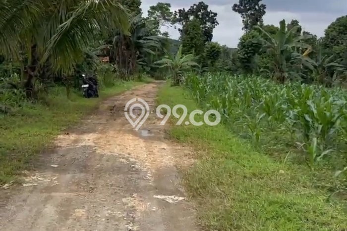 Kavling Tanah Dijual di Ranca Bungur Bogor Spesifikasi 704m2 Kavling Tanah Dijual di Ranca Bungur Bogor Spesifikasi 704m2