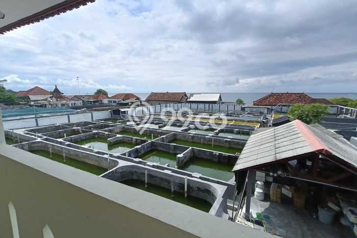 For Sale Rumah Mewah Exclusive di Seririt, Buleleng For Sale Rumah Mewah Exclusive di Seririt, Buleleng